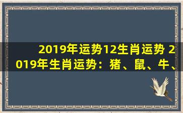 2019年运势12生肖运势 2019年生肖运势：猪、鼠、牛、虎、兔、龙、蛇、马、羊、猴、鸡、狗、猪